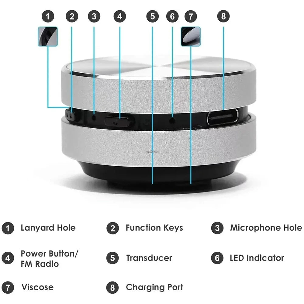 Hummingbird Bone Conduction Speaker™