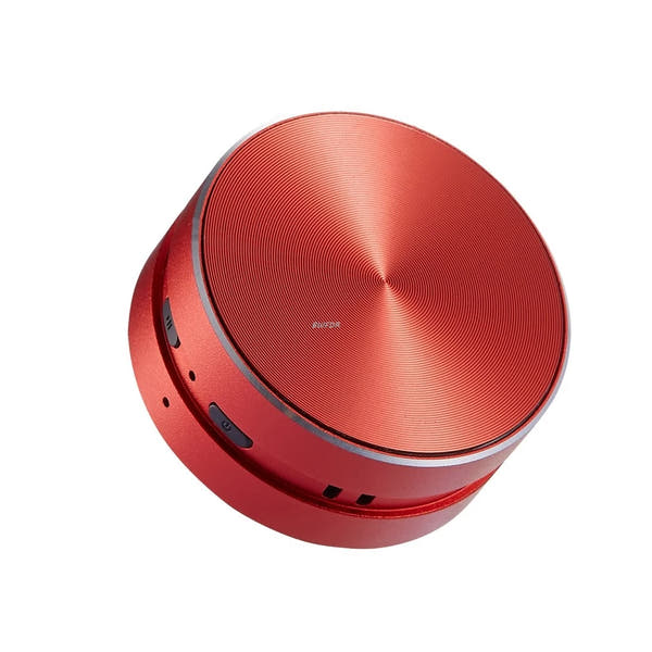 Hummingbird Bone Conduction Speaker™
